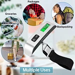 portable luggage scale
